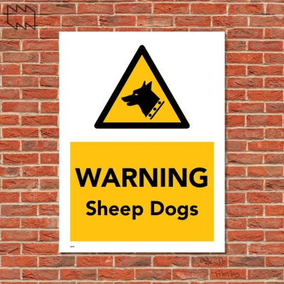  Warning Sheep Dogs Wdp - F19