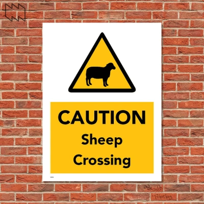  Caution Sheep Crossing Wdp - F08
