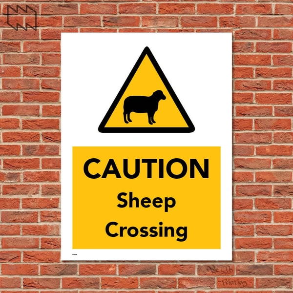  Caution Sheep Crossing Wdp - F08